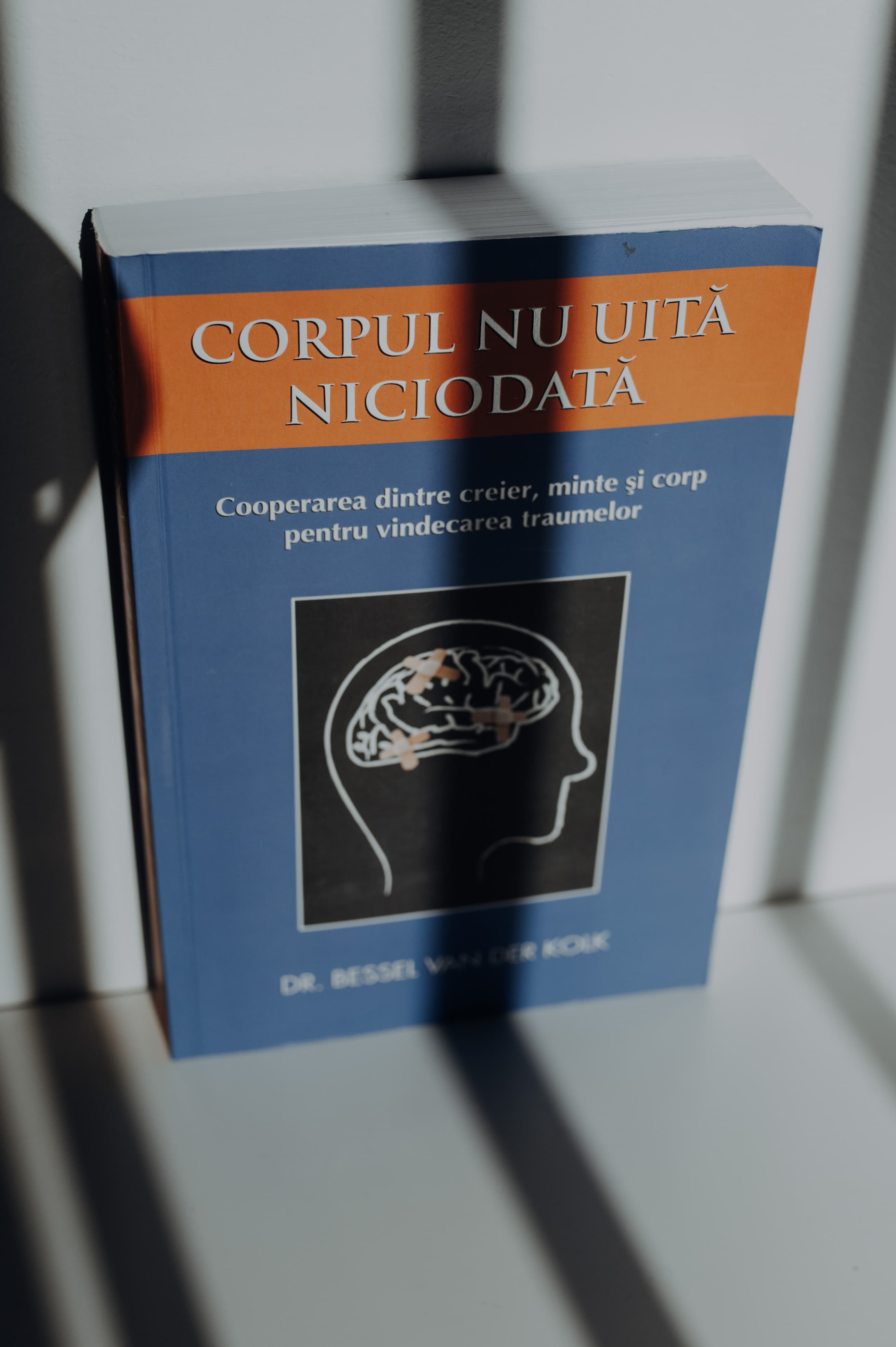 Imagine calmă asociată reglării corpului și sistemului nervos
