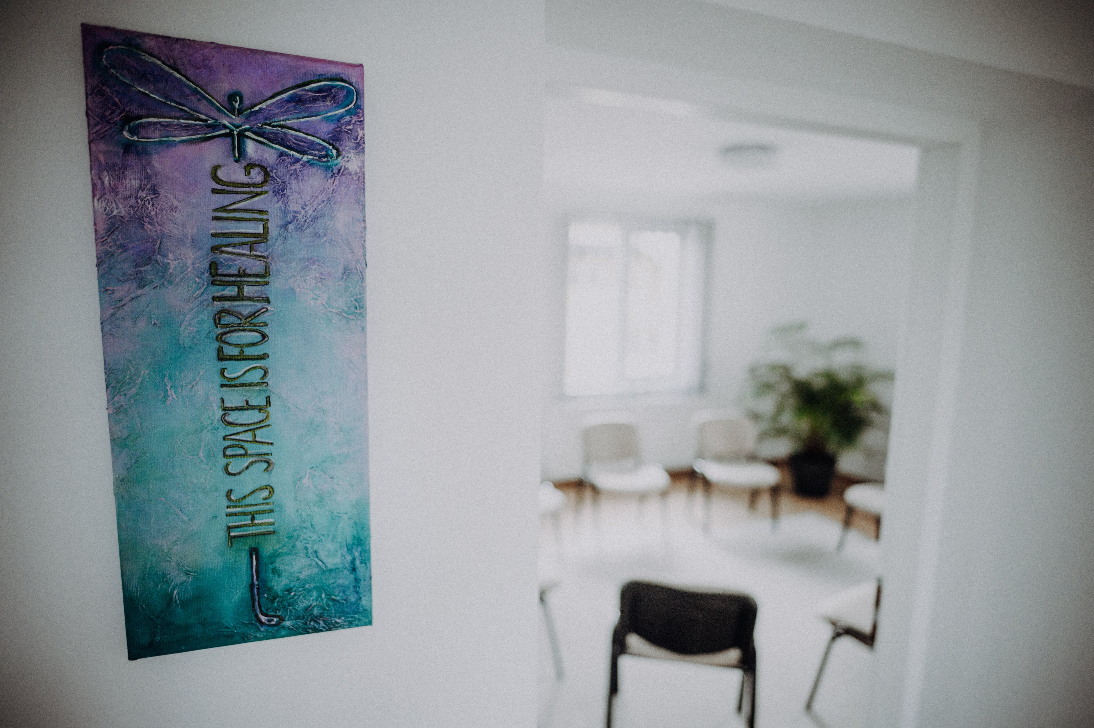 Fotolii și plante într-un spațiu terapeutic Trauma Center